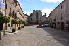 09 April 2019 Monestir de Santes Creus