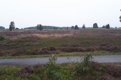 15 September 2021 Luneburger Heide